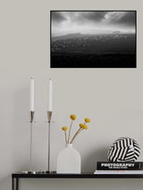sea of sheeps Poster och Canvastavla
