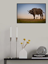 Trio Poster och Canvastavla