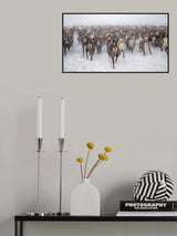 To be part of a the herd Poster och Canvastavla
