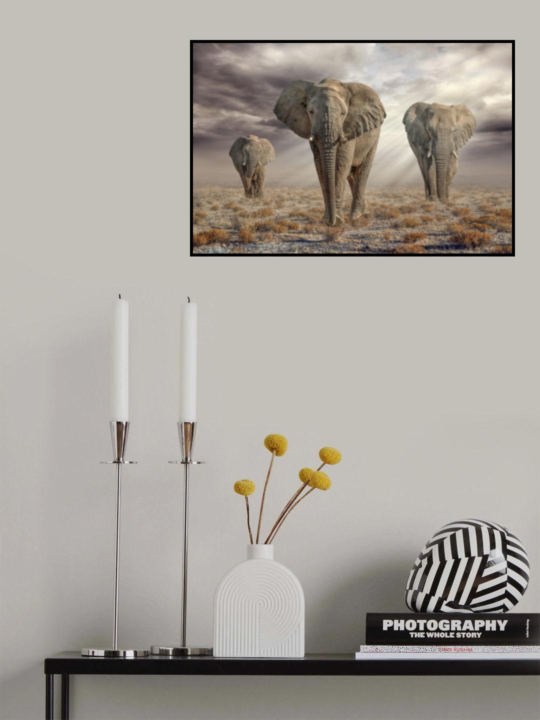 EtoshaElephants Poster och Canvastavla