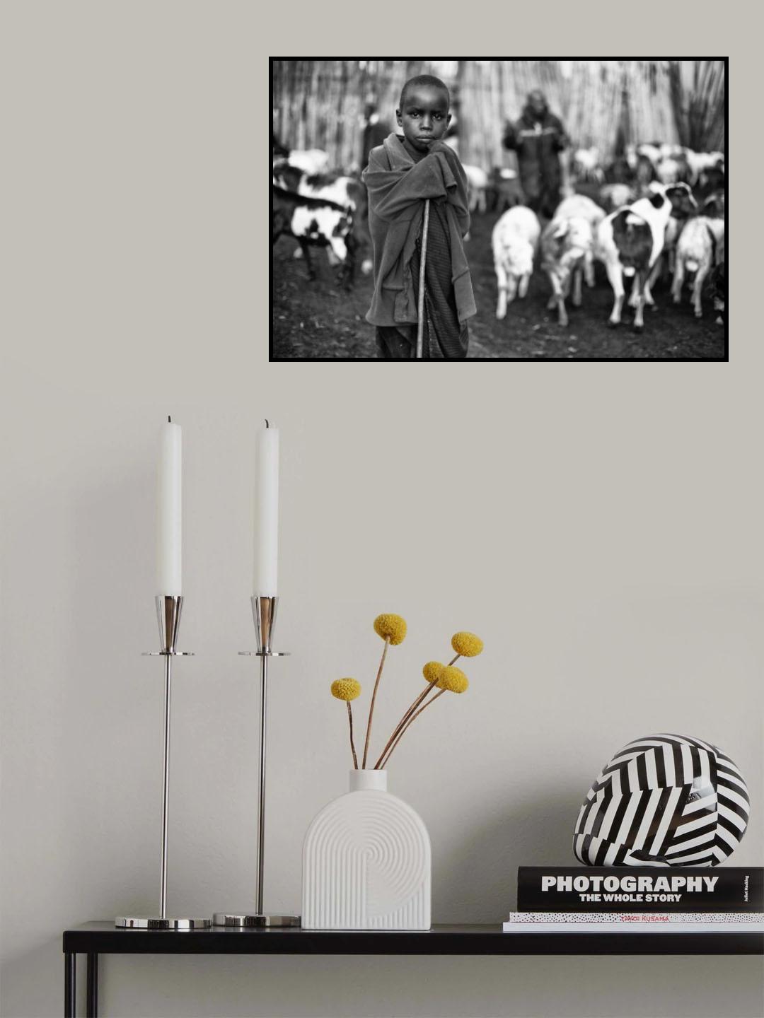 Shepherd Poster och Canvastavla