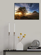Pinggan tree. Poster och Canvastavla