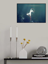 no limits for red swan Poster och Canvastavla