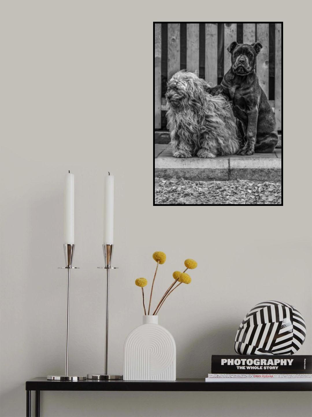 She's mine Poster och Canvastavla