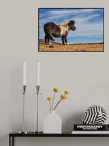 Lonely Poster och Canvastavla