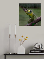 Three horn chameleon Poster och Canvastavla