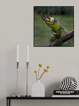 Three horn chameleon Poster och Canvastavla