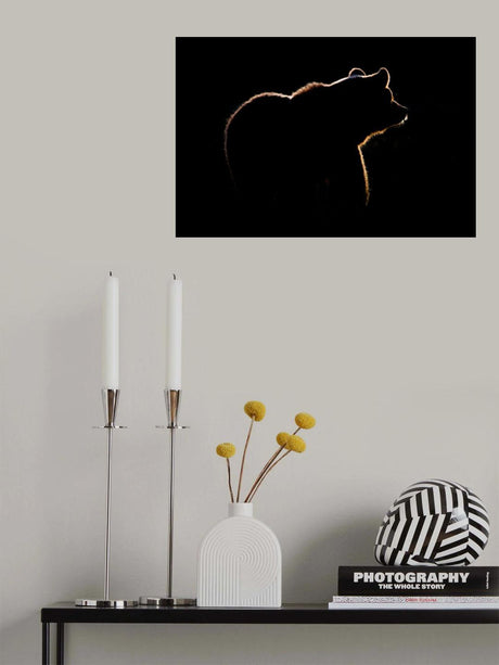 Highlight Poster och Canvastavla