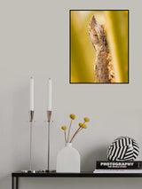 Hide Poster och Canvastavla