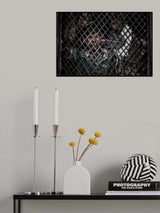 At home. Poster och Canvastavla