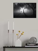 In a Land of Mist ! Poster och Canvastavla