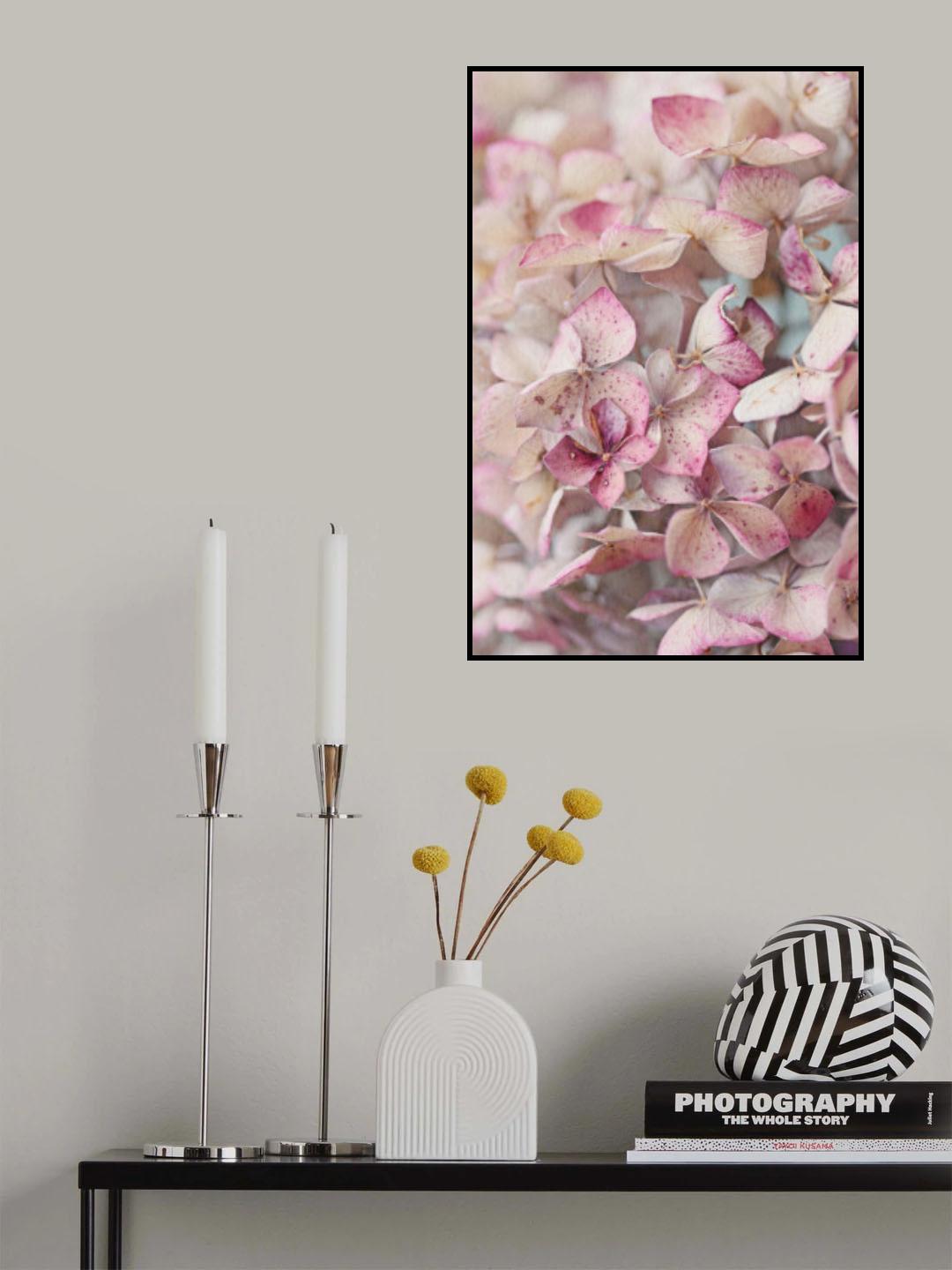 Vintage Pink Hydrangea Petals Poster och Canvastavla