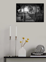 Rickshaw Driver Poster och Canvastavla