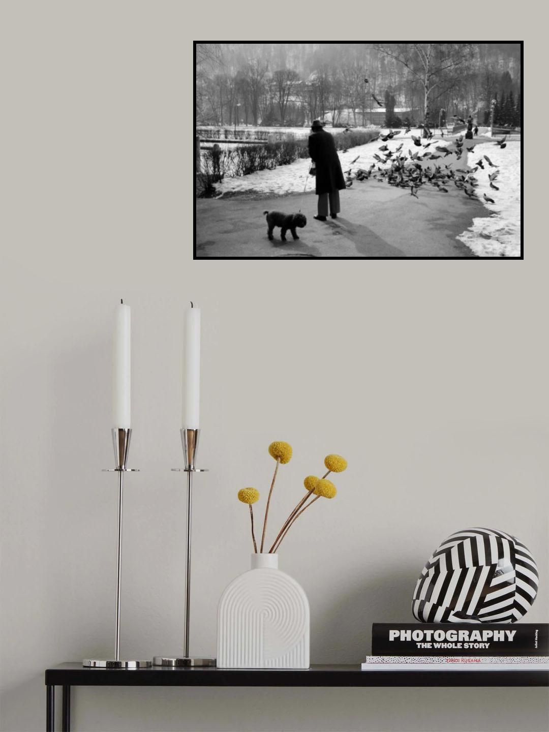 Old friends Poster och Canvastavla