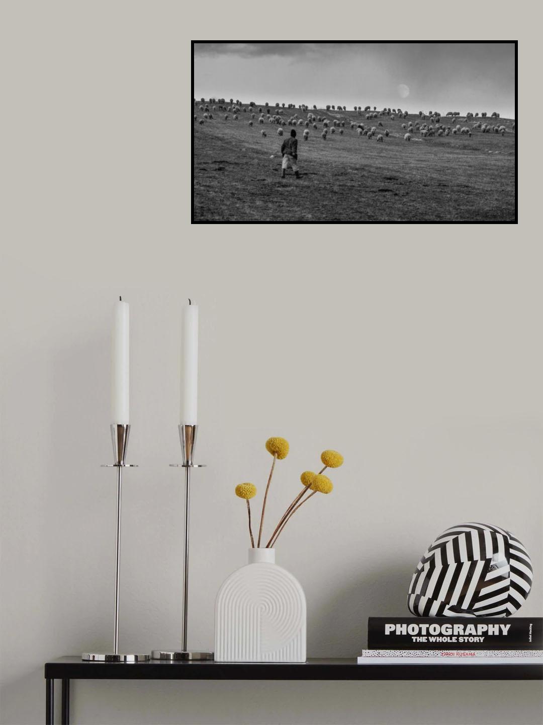 Poster och Canvastavla