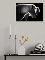 Two beautiful horses Poster och Canvastavla