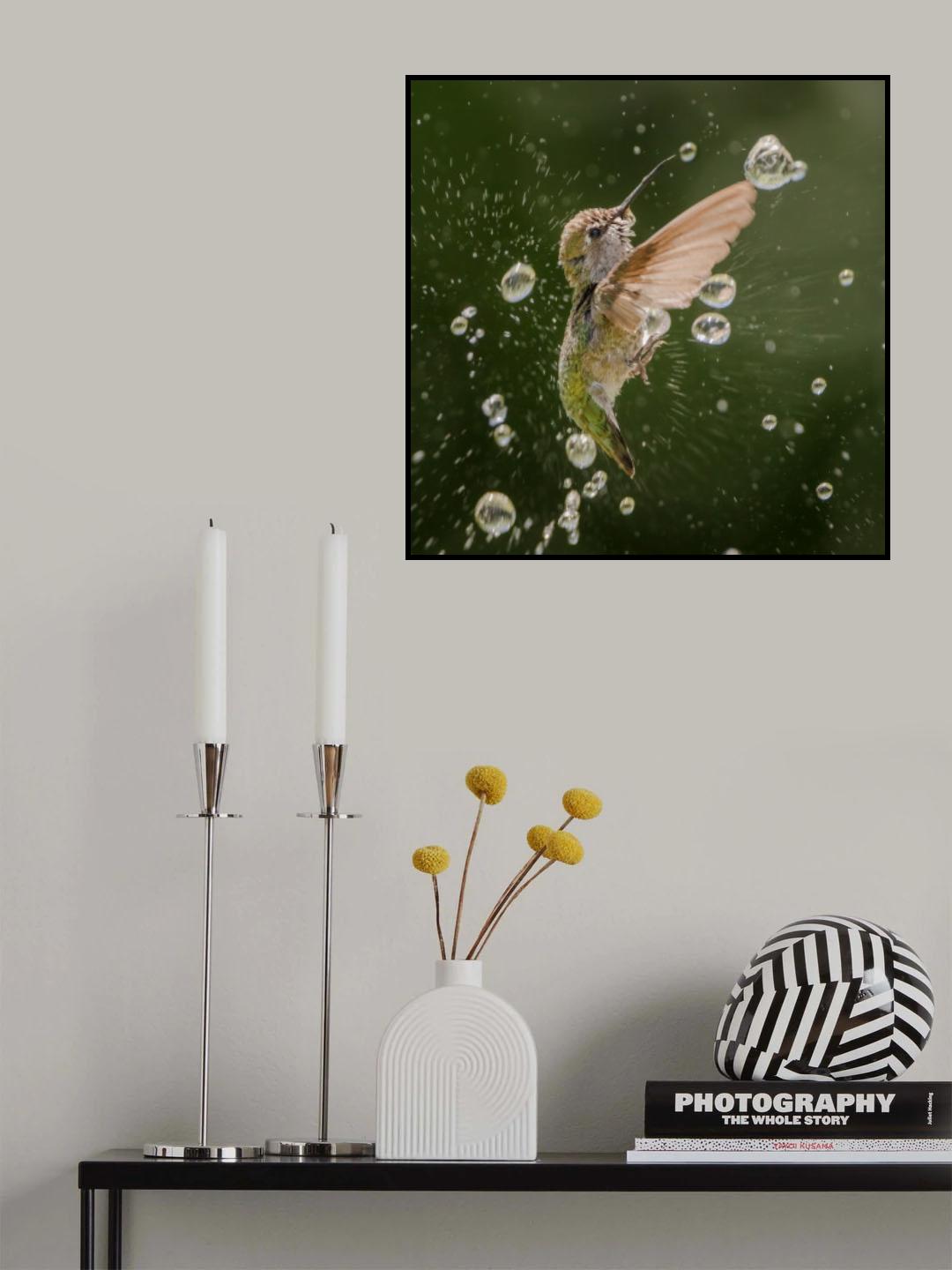 Breaking water drops Poster och Canvastavla