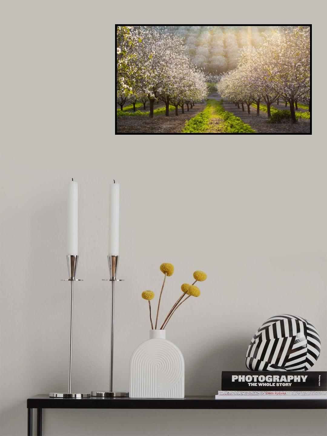 Golden Almonds Poster och Canvastavla