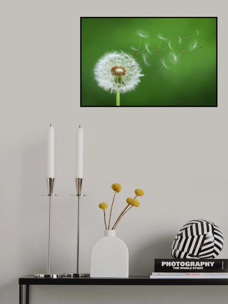 Dandelion Blowing Poster och Canvastavla