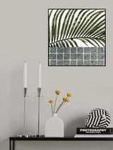 Palm Leaves on Tiles Poster och Canvastavla