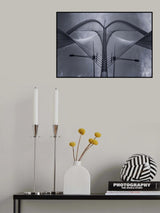 Nature versus Poster och Canvastavla