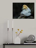 Lover Poster och Canvastavla