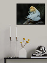 Lover Poster och Canvastavla