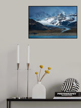King Penguin Colony in South Georgia Island Poster och Canvastavla