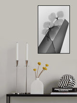 Hydrangea Poster och Canvastavla