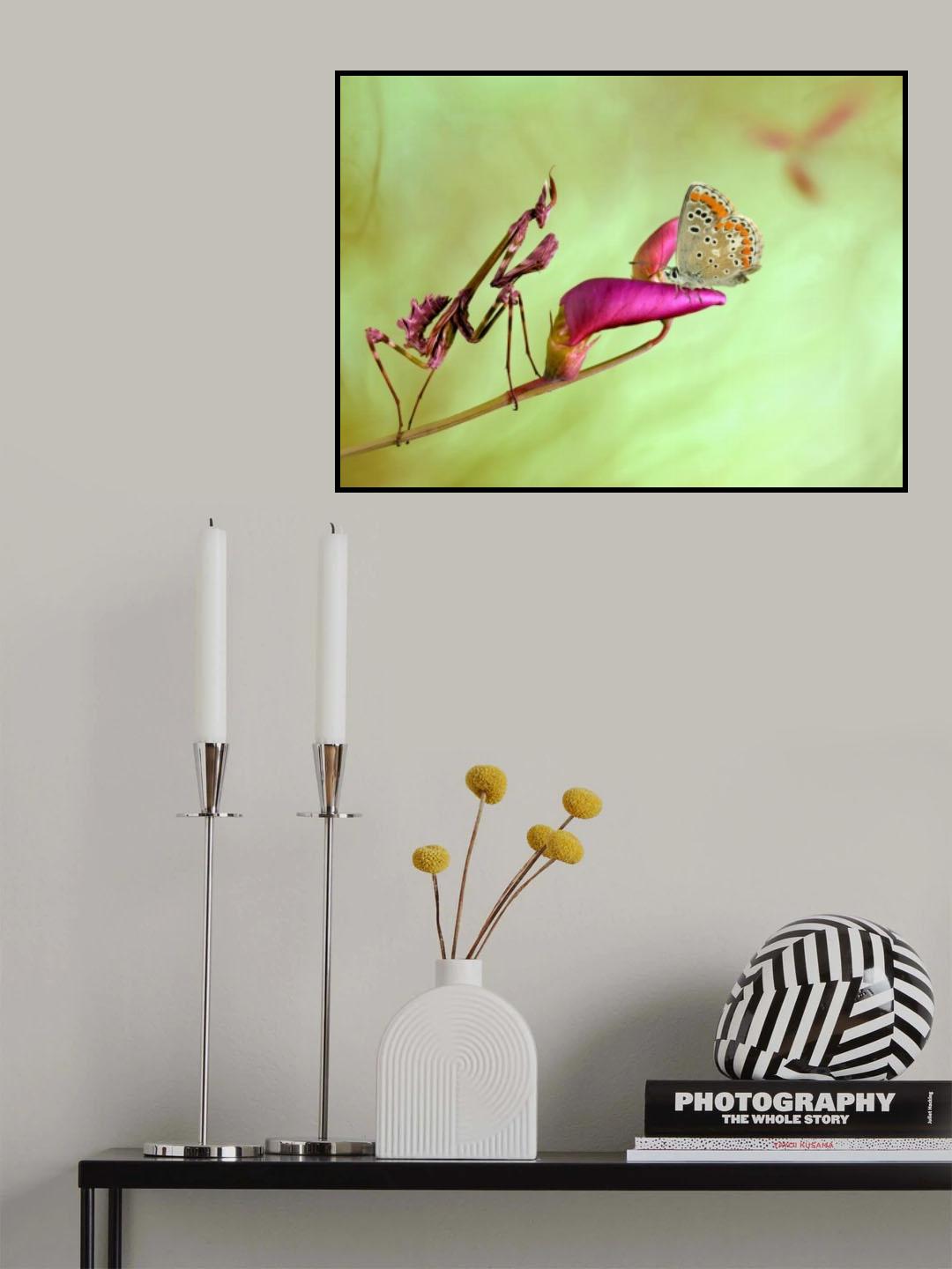 Patience Poster och Canvastavla