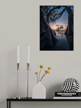 Can you dance with me? Poster och Canvastavla