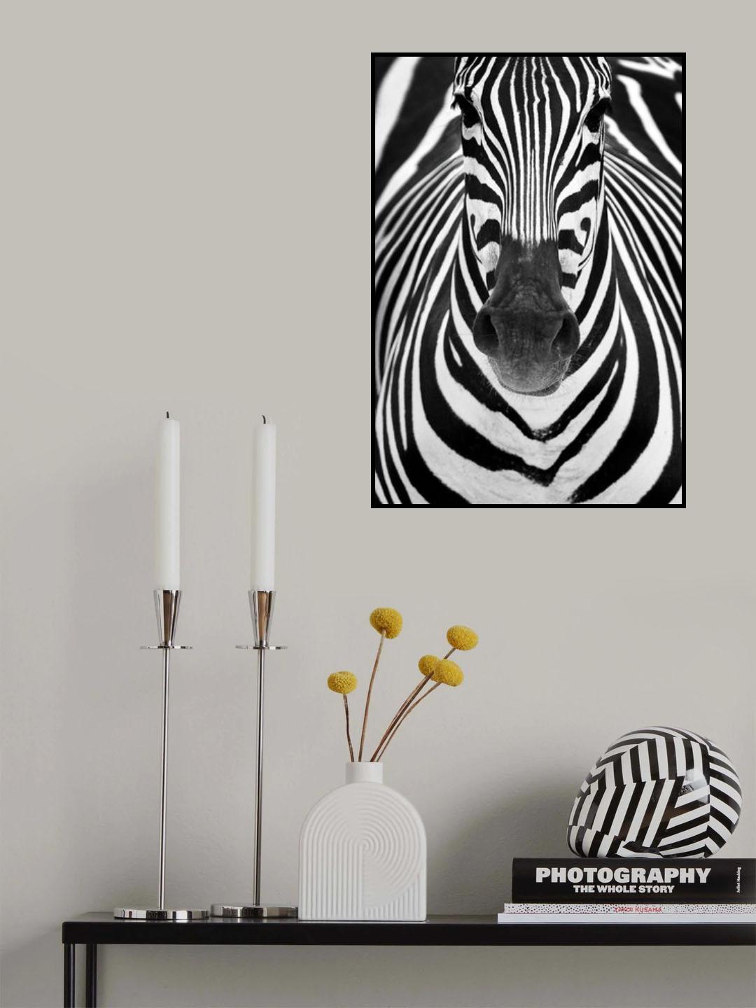 ZEBRA Poster och Canvastavla