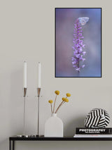 fabrizio daminelli Adonis Blue on Gymnadenia conopsea Poster och Canvastavla