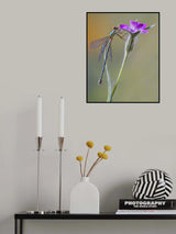 Hanging Poster och Canvastavla
