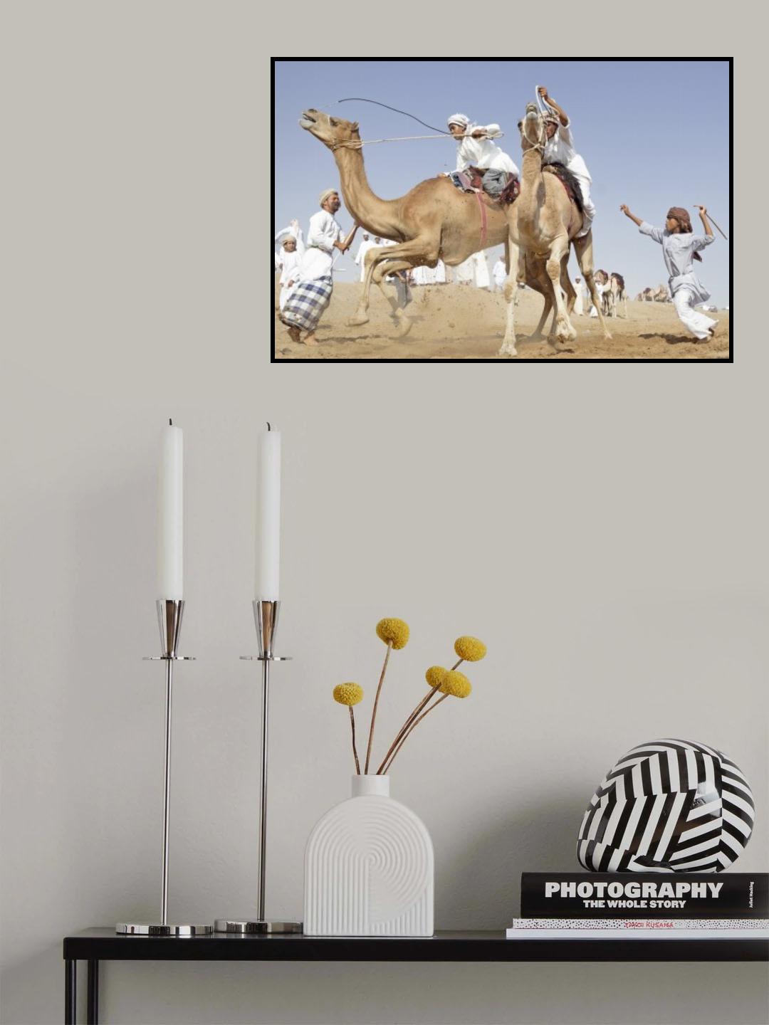 camel race Poster och Canvastavla