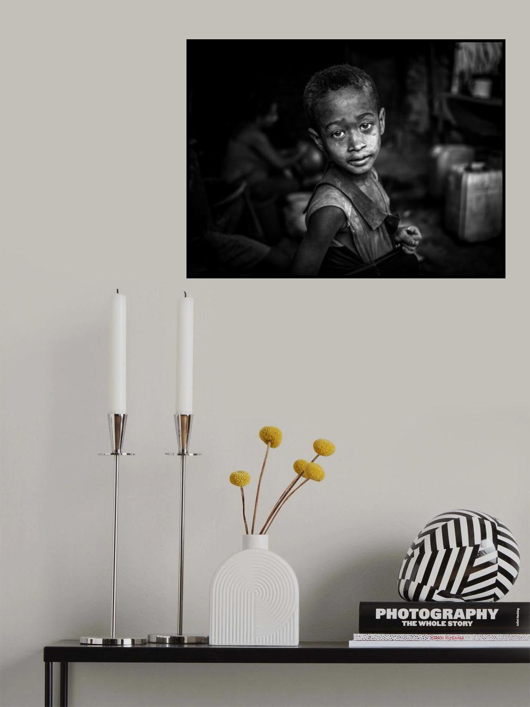 Domestic shadows Poster och Canvastavla