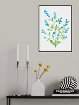 Wood forget-me-not or Myosotis sylvatica botanical painting Poster och Canvastavla