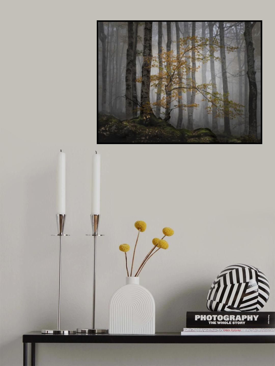 Bosque en la niebla Poster och Canvastavla