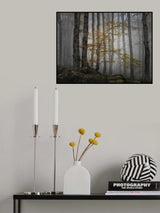 Bosque en la niebla Poster och Canvastavla