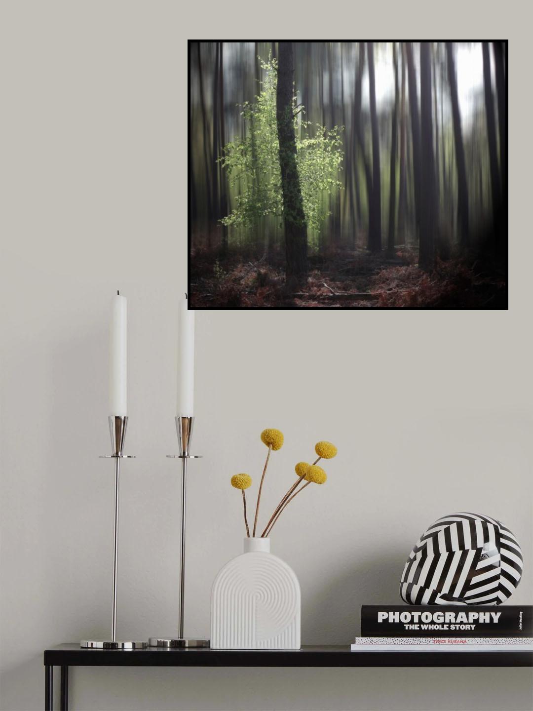 spring forest Poster och Canvastavla