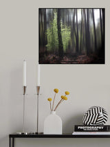 spring forest Poster och Canvastavla