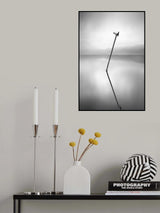 Waiting for the Sun Poster och Canvastavla
