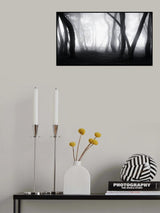 into the Mist Poster och Canvastavla