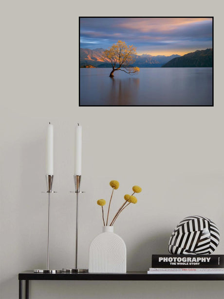 Morning Glow Poster och Canvastavla