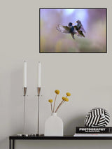 The dance of the starlings Poster och Canvastavla