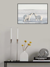Morning celebration Poster och Canvastavla