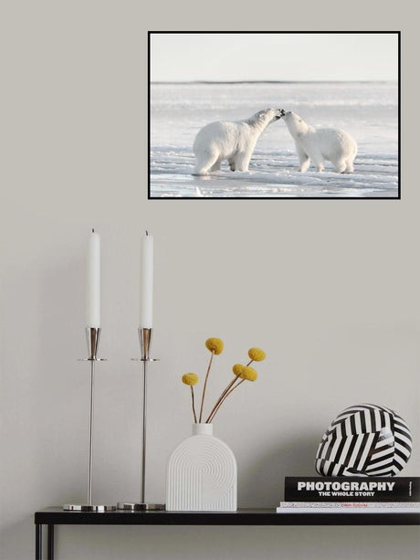 Morning celebration Poster och Canvastavla