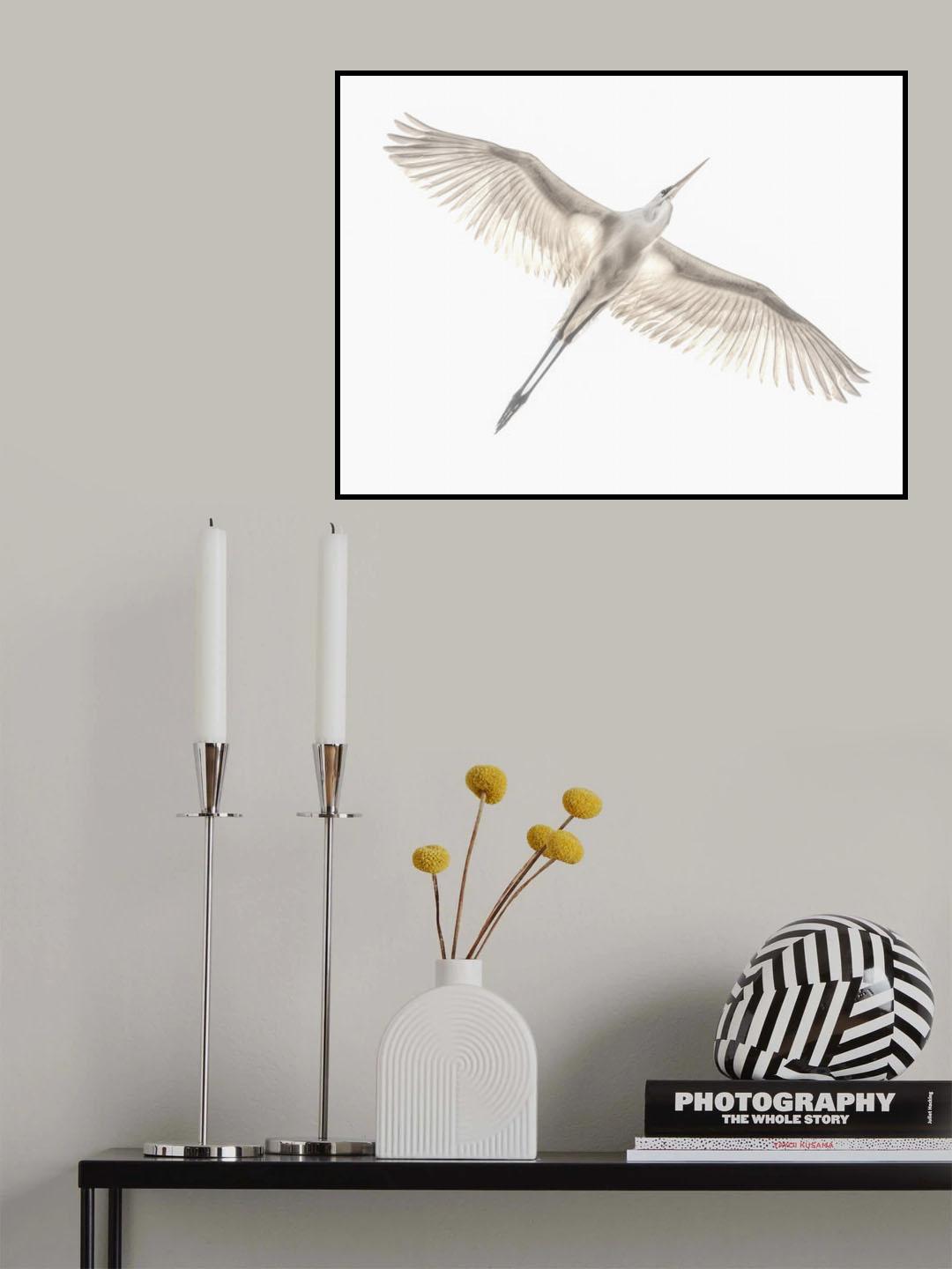 Fly Poster och Canvastavla