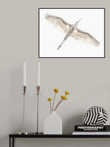 Fly Poster och Canvastavla