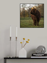 Shy Poster och Canvastavla